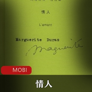 电子书《情人》经典小说推荐